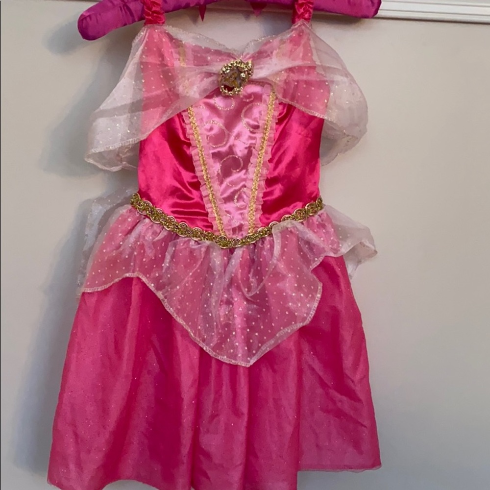 Sleeping Beauty (Princess Aurora) Dress